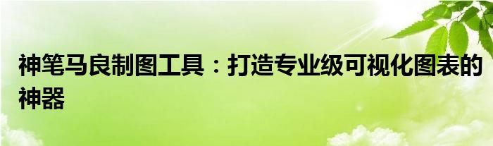 神笔马良制图工具：打造专业级可视化图表的神器