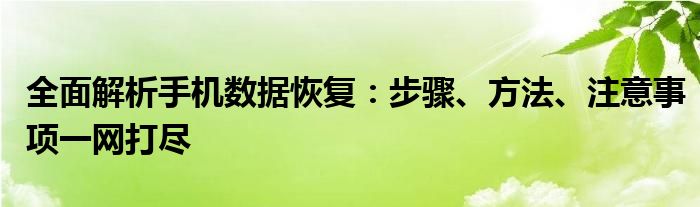 全面解析手机数据恢复：步骤、方法、注意事项一网打尽