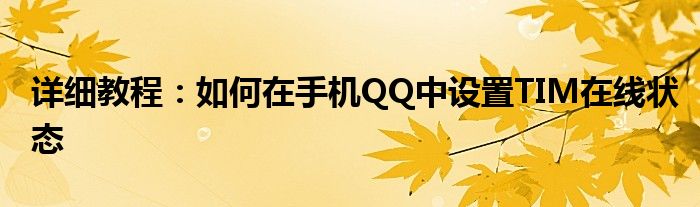 详细教程：如何在手机QQ中设置TIM在线状态