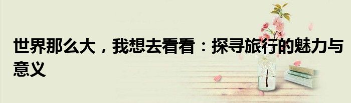 世界那么大，我想去看看：探寻旅行的魅力与意义