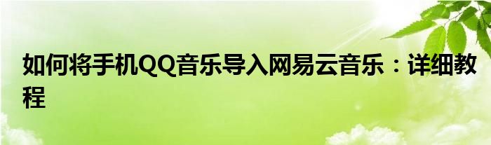 如何将手机QQ音乐导入网易云音乐：详细教程