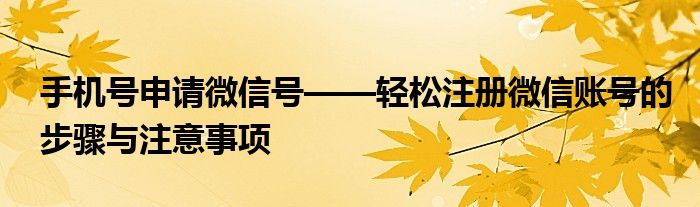手机号申请微信号——轻松注册微信账号的步骤与注意事项
