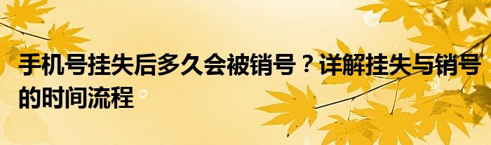 手机号挂失后多久会被销号？详解挂失与销号的时间流程