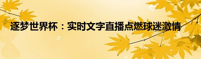 逐梦世界杯：实时文字直播点燃球迷激情