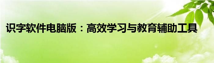 识字软件电脑版：高效学习与教育辅助工具