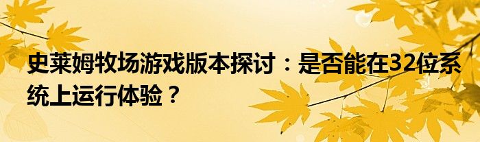史莱姆牧场游戏版本探讨：是否能在32位系统上运行体验？