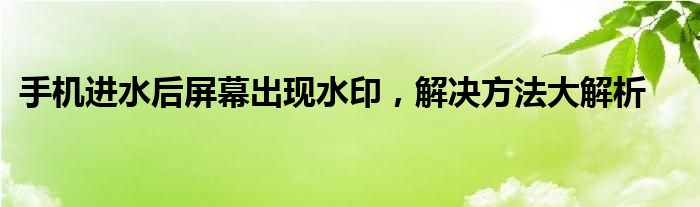手机进水后屏幕出现水印，解决方法大解析