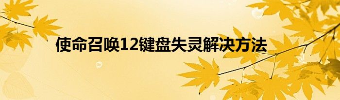 使命召唤12键盘失灵解决方法