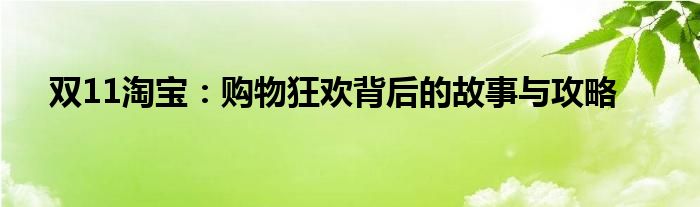 双11淘宝：购物狂欢背后的故事与攻略