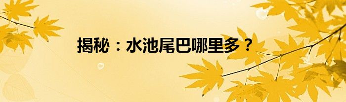 揭秘：水池尾巴哪里多？
