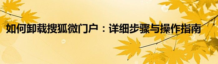 如何卸载搜狐微门户：详细步骤与操作指南