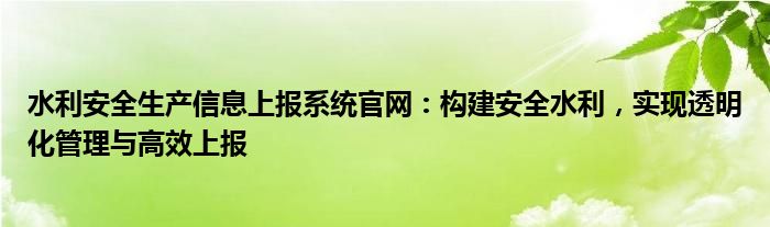 水利安全生产信息上报系统官网：构建安全水利，实现透明化管理与高效上报