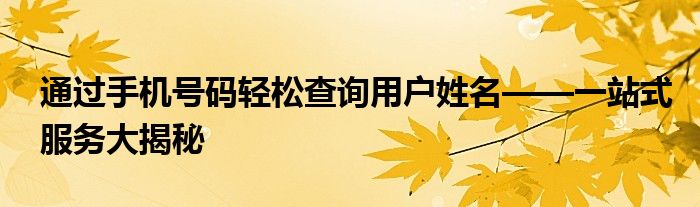 通过手机号码轻松查询用户姓名——一站式服务大揭秘
