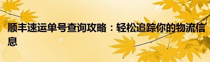 顺丰速运单号查询攻略：轻松追踪你的物流信息