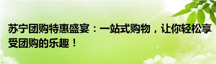 苏宁团购特惠盛宴：一站式购物，让你轻松享受团购的乐趣！