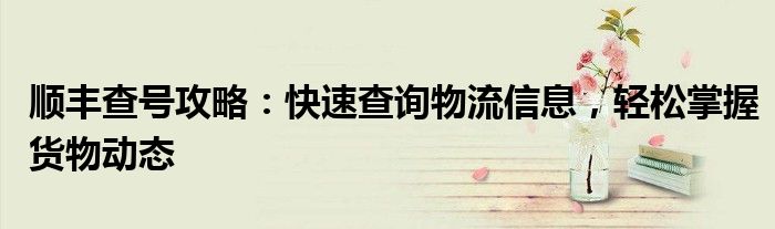 顺丰查号攻略：快速查询物流信息，轻松掌握货物动态