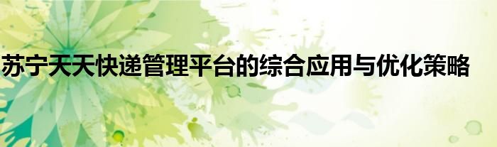 苏宁天天快递管理平台的综合应用与优化策略