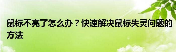 鼠标不亮了怎么办？快速解决鼠标失灵问题的方法