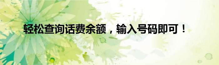 轻松查询话费余额，输入号码即可！