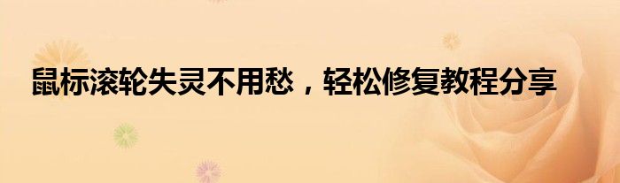 鼠标滚轮失灵不用愁，轻松修复教程分享