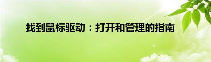 找到鼠标驱动：打开和管理的指南