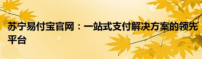 苏宁易付宝官网：一站式支付解决方案的领先平台