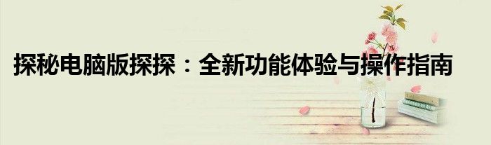 探秘电脑版探探：全新功能体验与操作指南