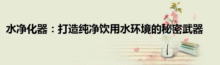 水净化器：打造纯净饮用水环境的秘密武器