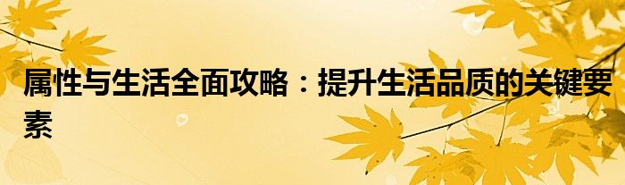 属性与生活全面攻略：提升生活品质的关键要素