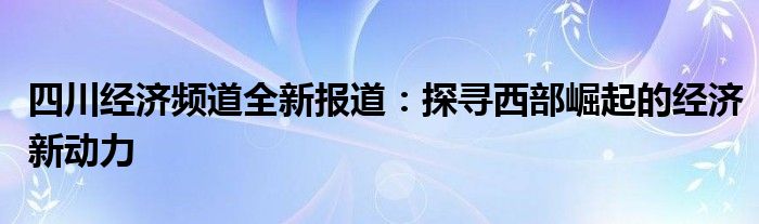 四川经济频道全新报道：探寻西部崛起的经济新动力