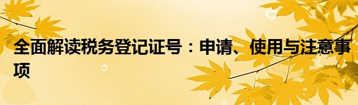 全面解读税务登记证号：申请、使用与注意事项