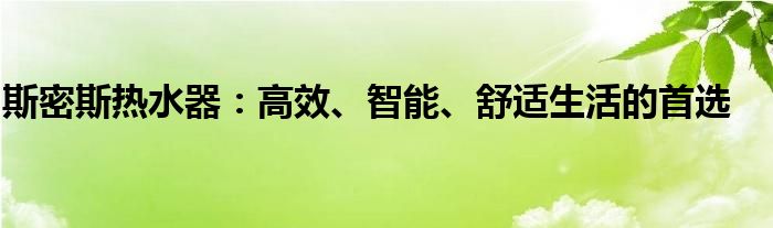 斯密斯热水器：高效、智能、舒适生活的首选