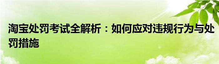 淘宝处罚考试全解析：如何应对违规行为与处罚措施
