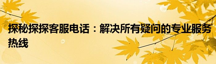 探秘探探客服电话：解决所有疑问的专业服务热线