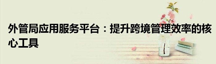 外管局应用服务平台：提升跨境管理效率的核心工具