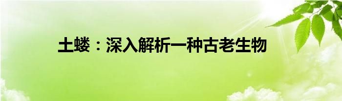 土蝼：深入解析一种古老生物