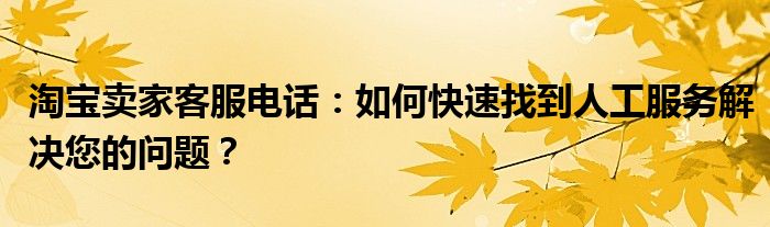淘宝卖家客服电话：如何快速找到人工服务解决您的问题？