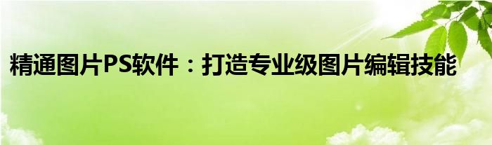 精通图片PS软件：打造专业级图片编辑技能