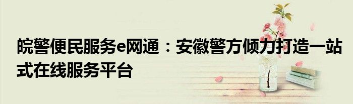 皖警便民服务e网通：安徽警方倾力打造一站式在线服务平台