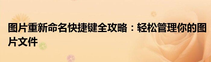 图片重新命名快捷键全攻略：轻松管理你的图片文件