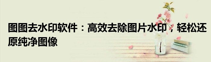 图图去水印软件：高效去除图片水印，轻松还原纯净图像
