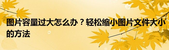 图片容量过大怎么办？轻松缩小图片文件大小的方法