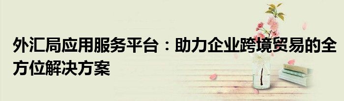 外汇局应用服务平台：助力企业跨境贸易的全方位解决方案