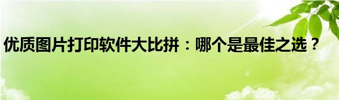 优质图片打印软件大比拼：哪个是最佳之选？
