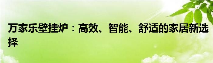 万家乐壁挂炉：高效、智能、舒适的家居新选择
