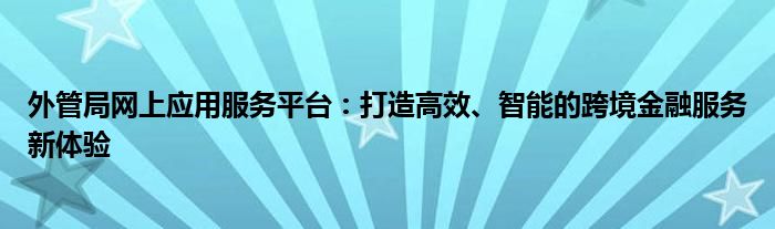 外管局网上应用服务平台：打造高效、智能的跨境金融服务新体验