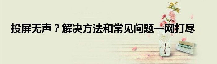 投屏无声？解决方法和常见问题一网打尽