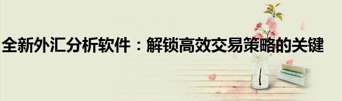 全新外汇分析软件：解锁高效交易策略的关键