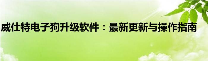 威仕特电子狗升级软件：最新更新与操作指南