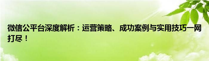 微信公平台深度解析：运营策略、成功案例与实用技巧一网打尽！